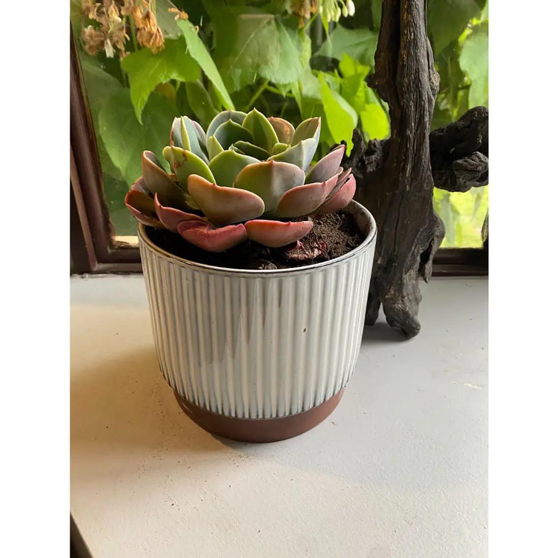 Macetero 17X15 Terracota Indigo 3