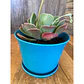 Macetero Bio Curvo Turquesa - Miniatura 2