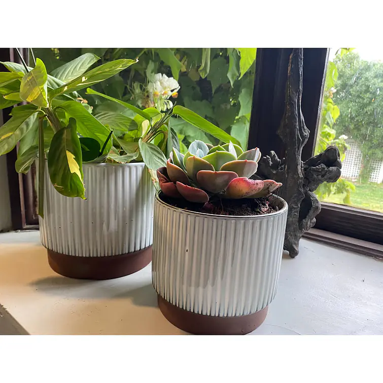 Macetero 17X15 Terracota Indigo 4