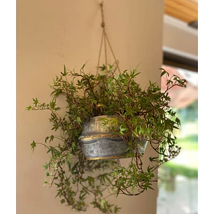 Macetero Colgante Étnico