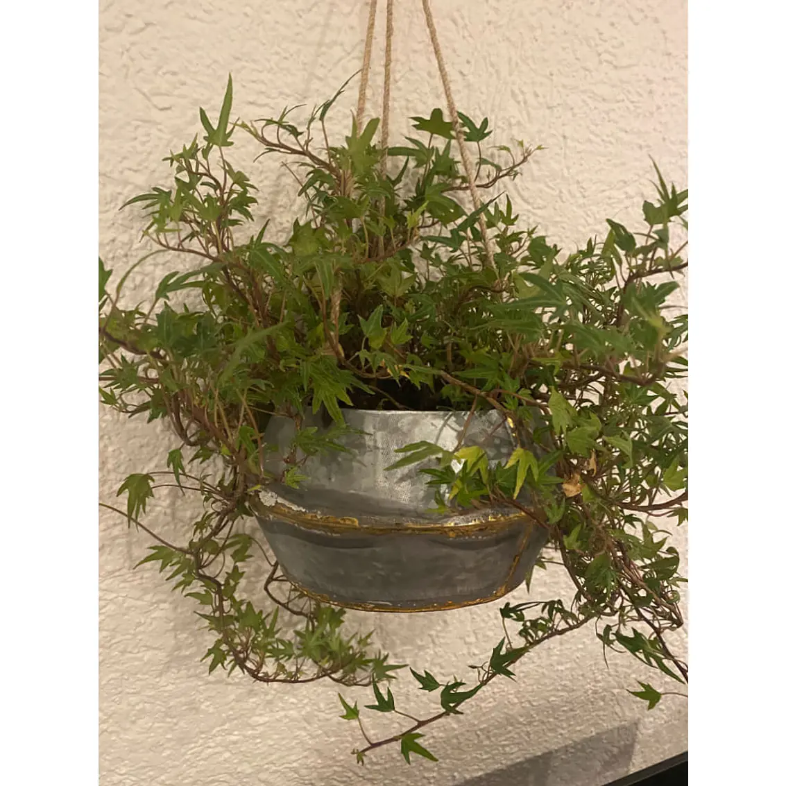 Macetero Colgante Étnico 3