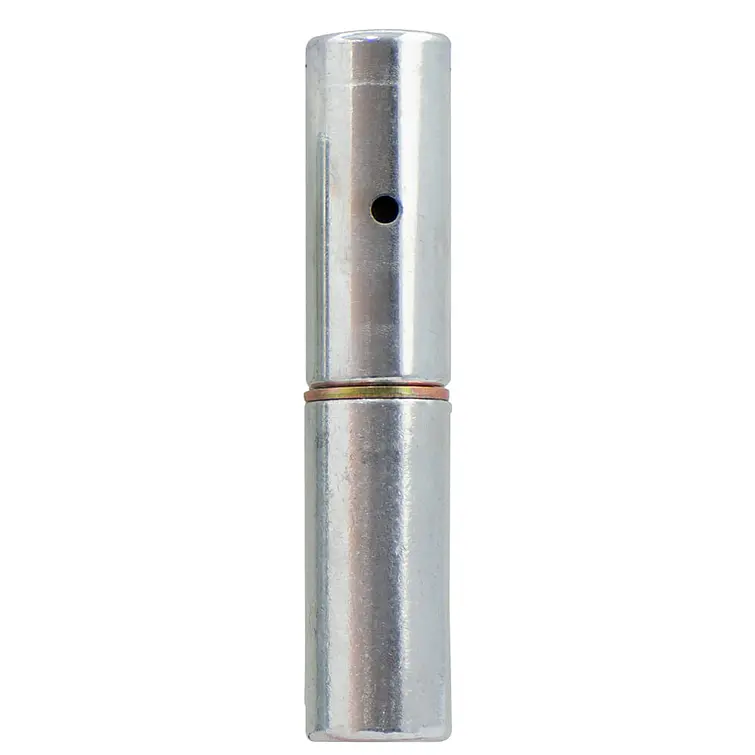 Pomeles 1 (40100932520) Ducasse 1