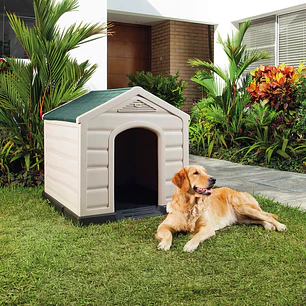 Casa Para Perro Grande
