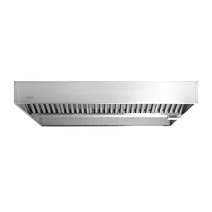 CAMPANA CENTRAL VENECC-250 +FILTRO VENTUS