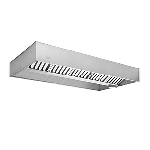 CAMPANA CENTRAL VENECC-250 +FILTRO VENTUS