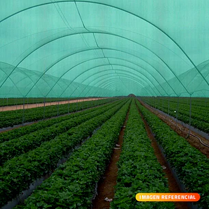 Malla Rachel Verde 80% 4,20 X100 Mtr.