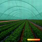 Malla Rachel Verde 80% 4,20 X100 Mtr. - Miniatura 2