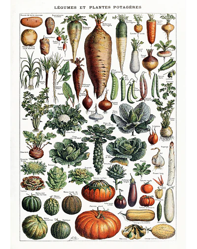 Verduras vintage