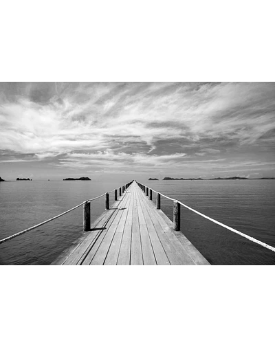 The Dock
