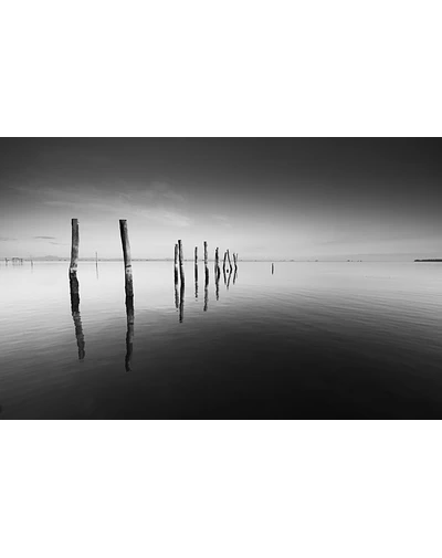 Logs in water