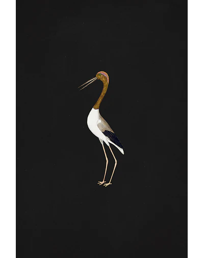 Crane in black