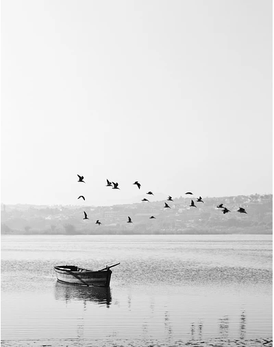 Aves en el lago I