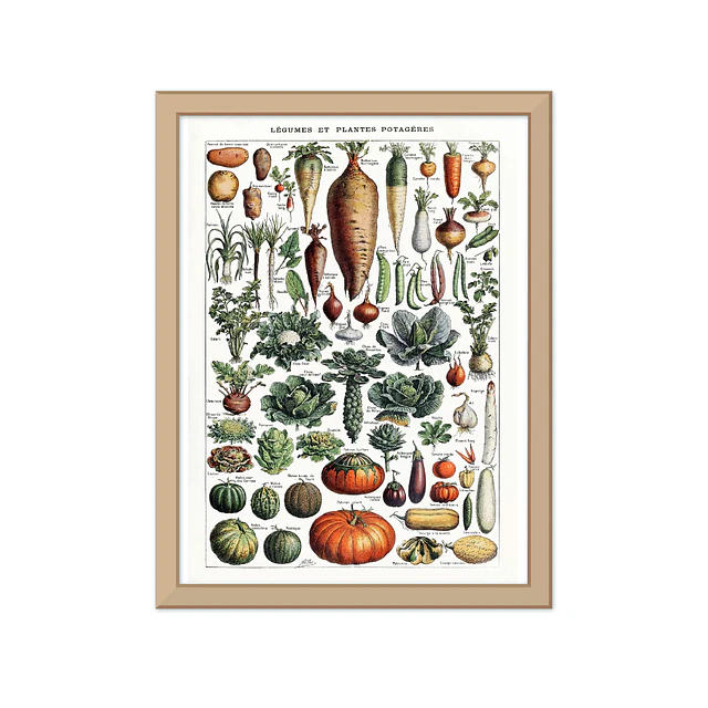 Verduras vintage 2