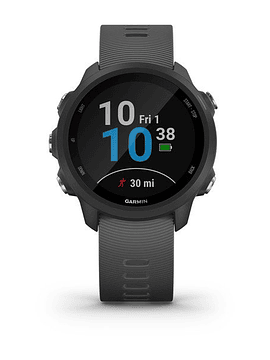 Garmin Smartwatch Forerunner 245 Black/Slate