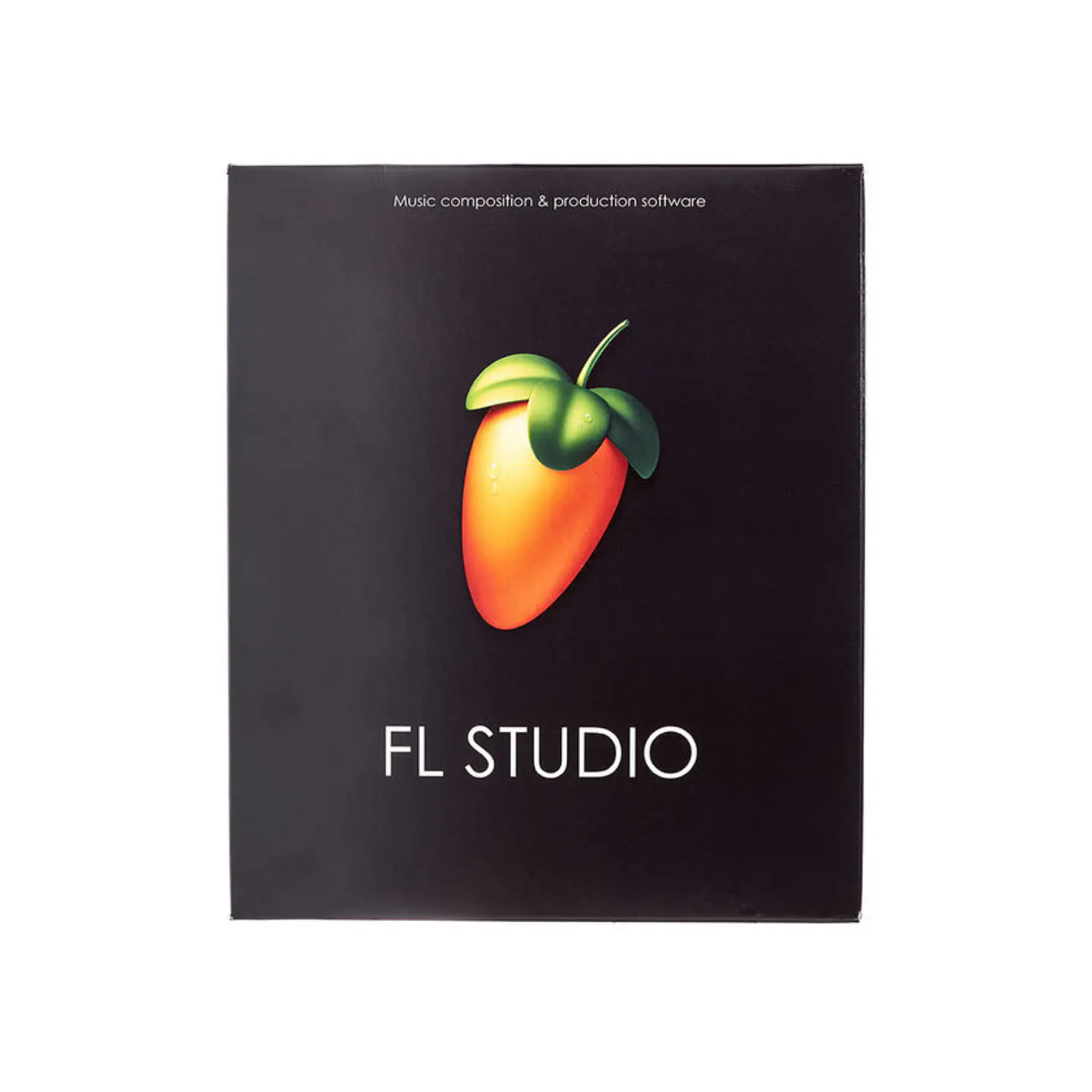 FL Studio Producer Edition 1
