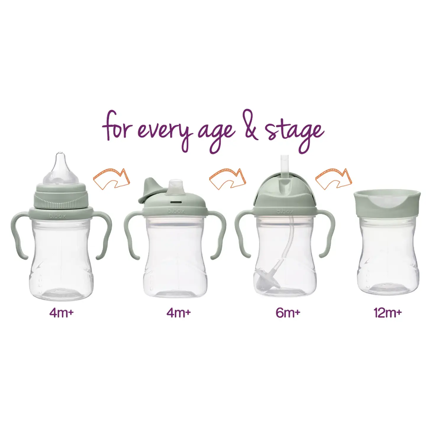 Set de Transición Vaso 4 en 1 - Bbox  5