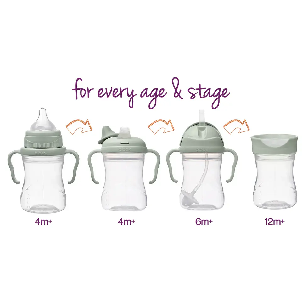 Set de Transición Vaso 4 en 1 - Bbox  5