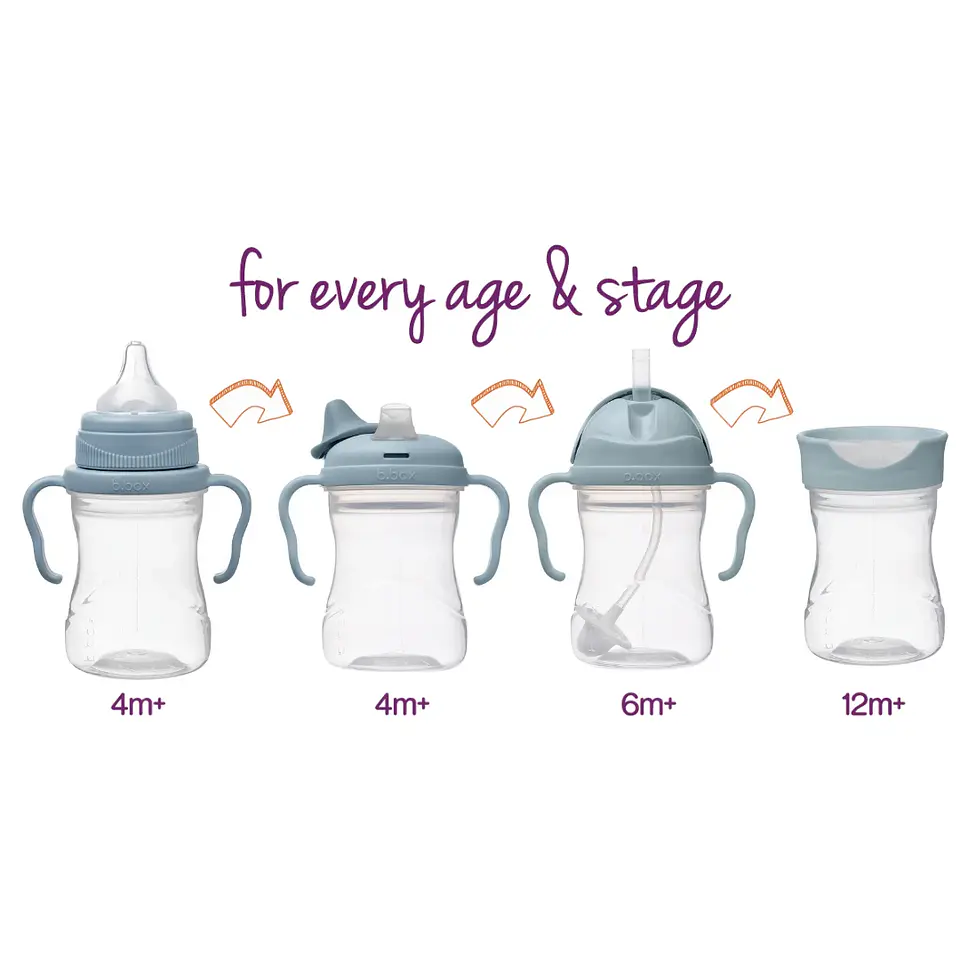 Set de Transición Vaso 4 en 1 - Bbox  4