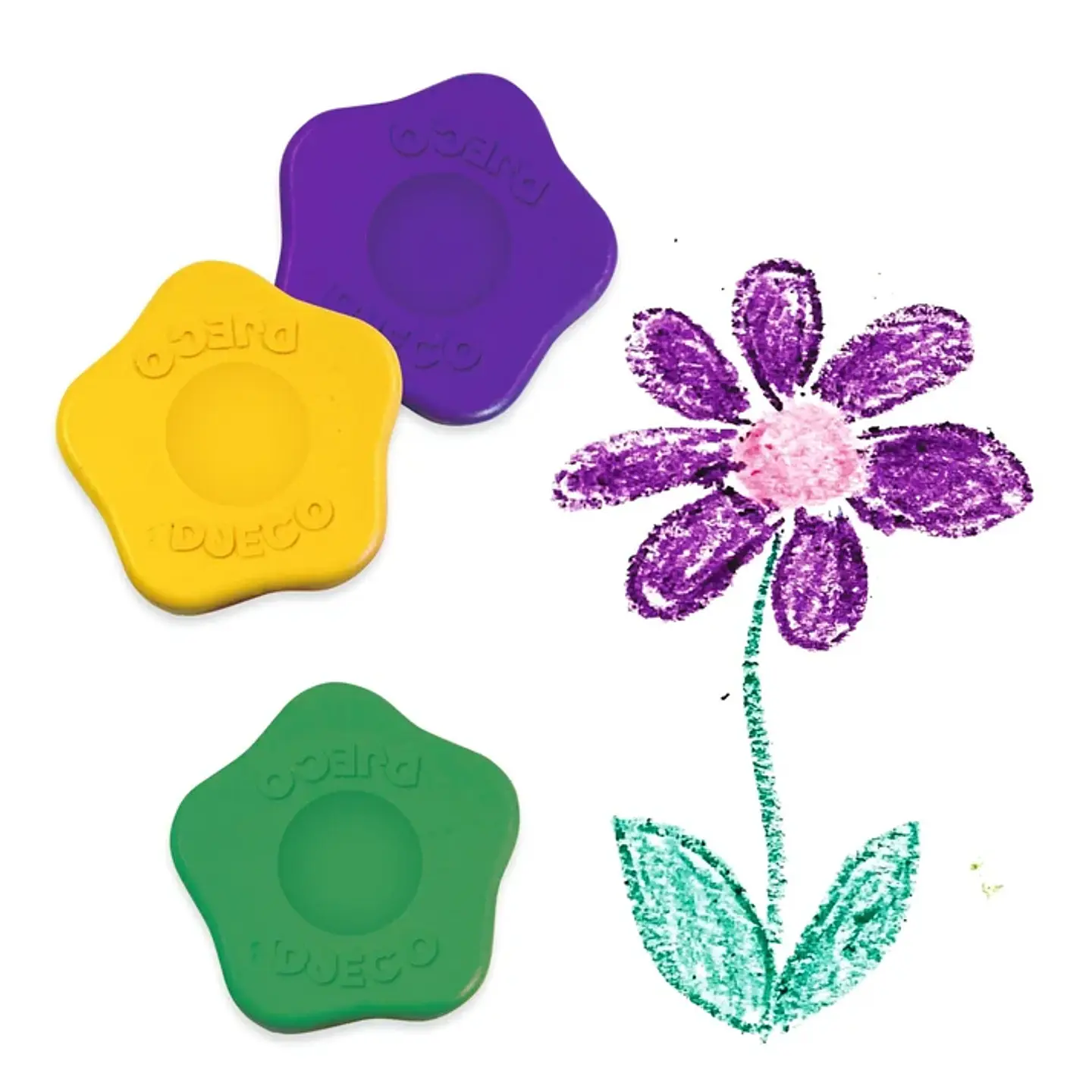 12 Crayones de Flores - Djeco 2