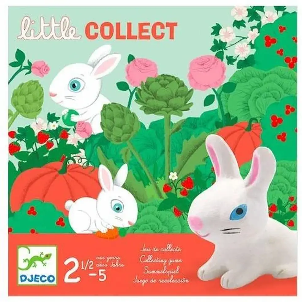 Juego Little Collect - Djeco 1