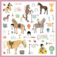 Stickers De Caballos - Djeco  - Miniatura 2
