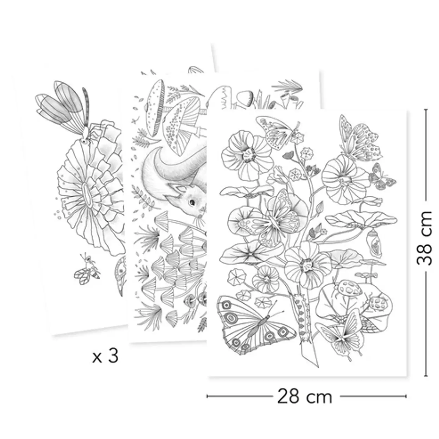 Dibujos para Colorear Naturaleza Colouring Gallery - Djeco 3