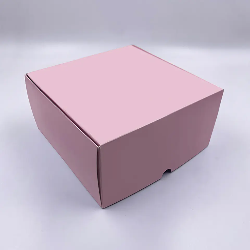 Caja Autoarmable 20x20x10cm 2