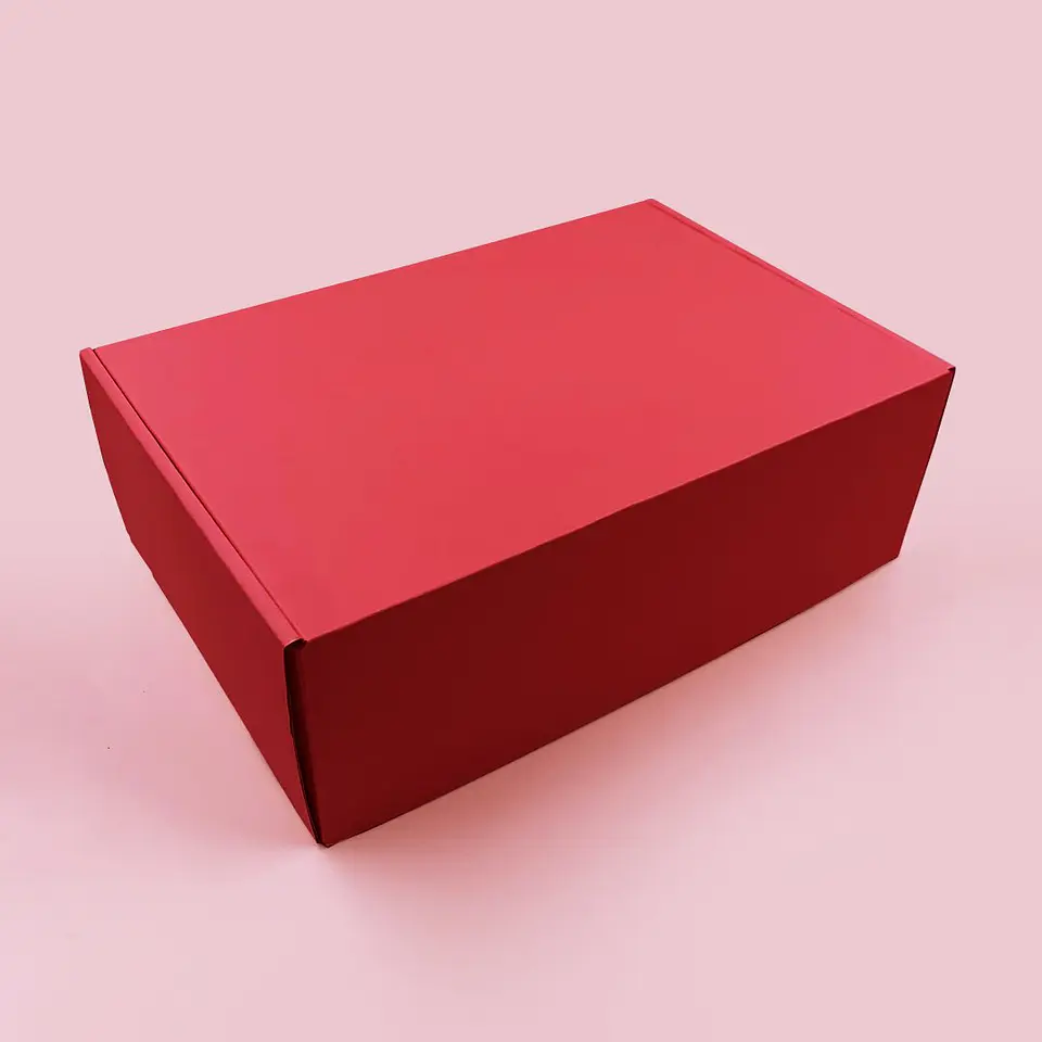 Caja Microcorrugado Color 30x20x10cm 4
