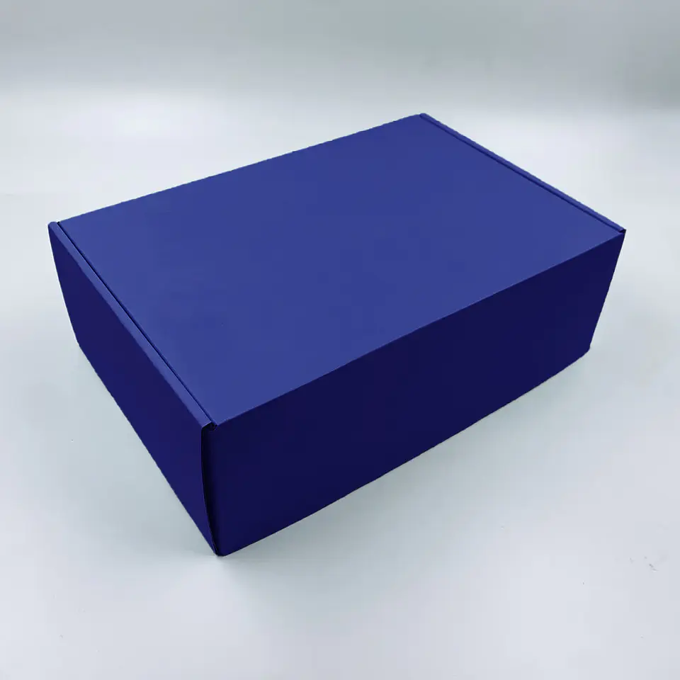Caja Microcorrugado Color 30x20x10cm 5