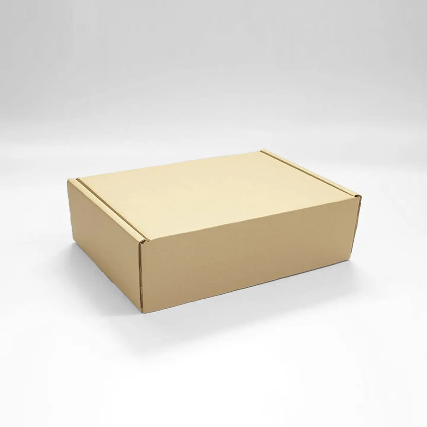 Caja Microcorrugado  30x20x10cm 3