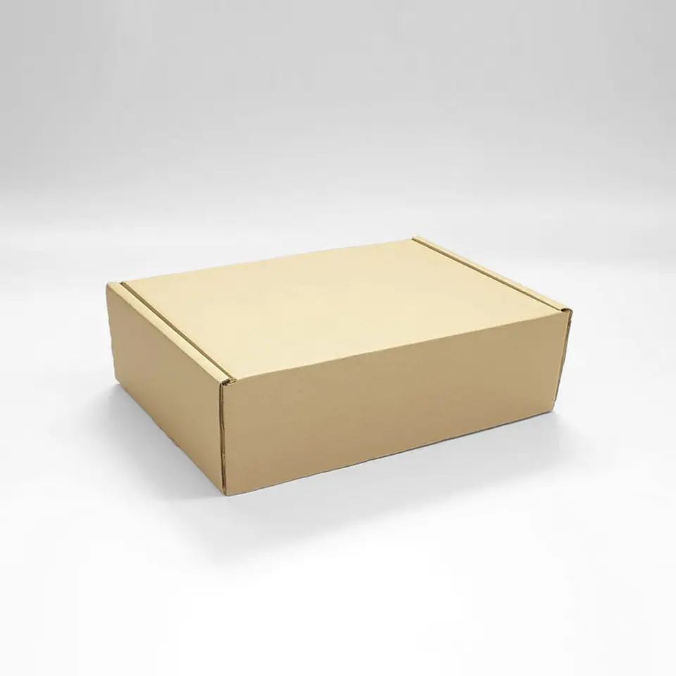Caja Microcorrugado  30x20x10cm 3