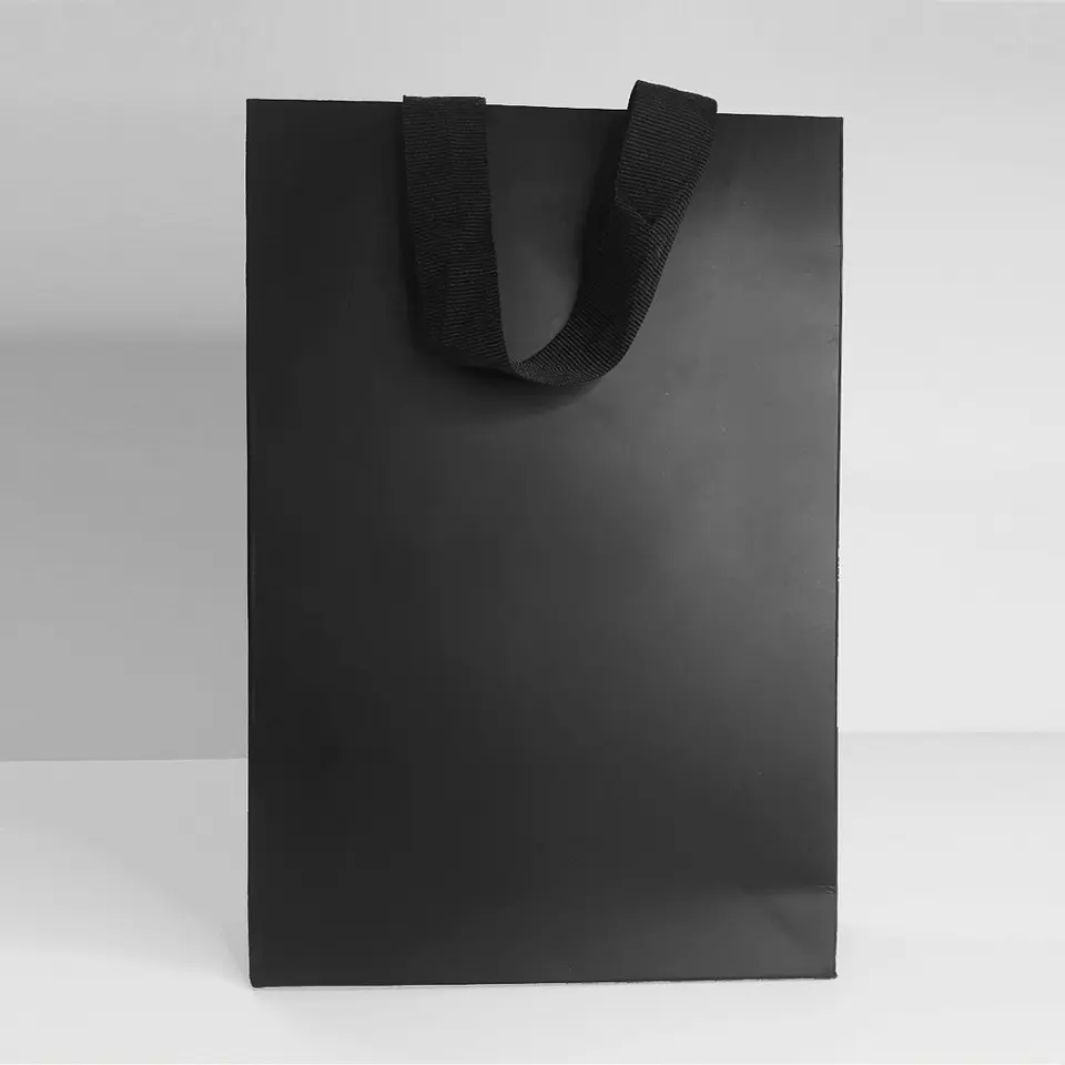 Bolsa Boutique 20x30x6cm 1