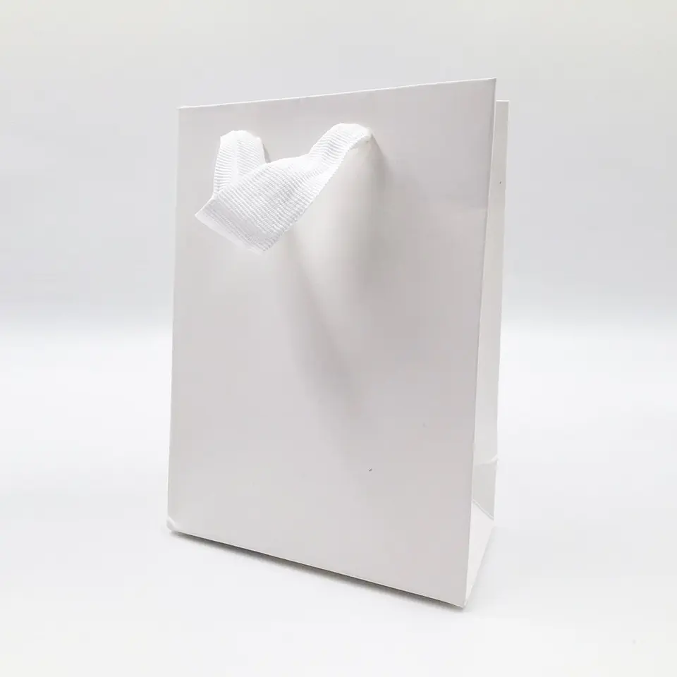 Bolsa Boutique 20x30x6cm 2