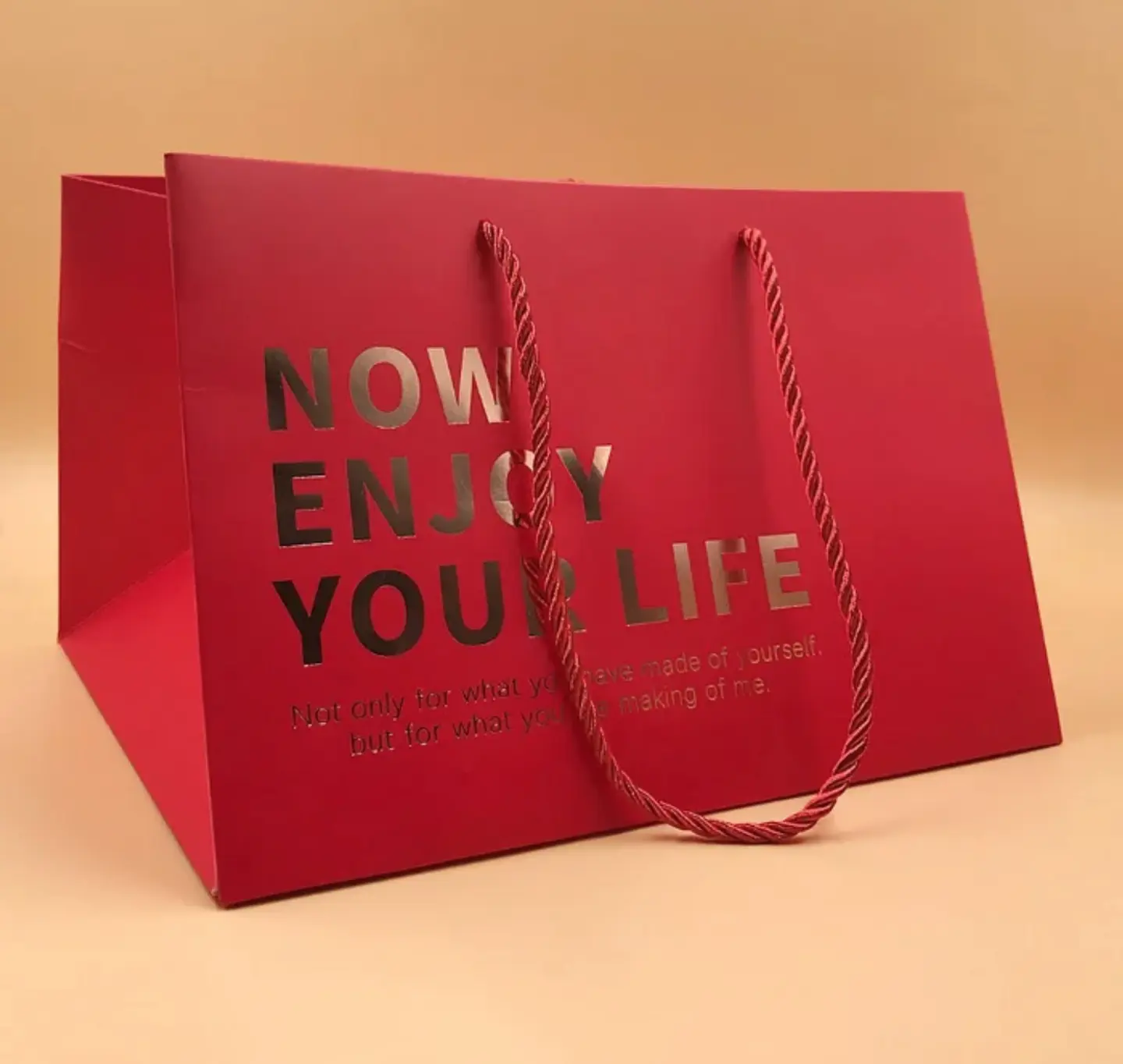 Bolsa Boutique 25x17x23cm 2