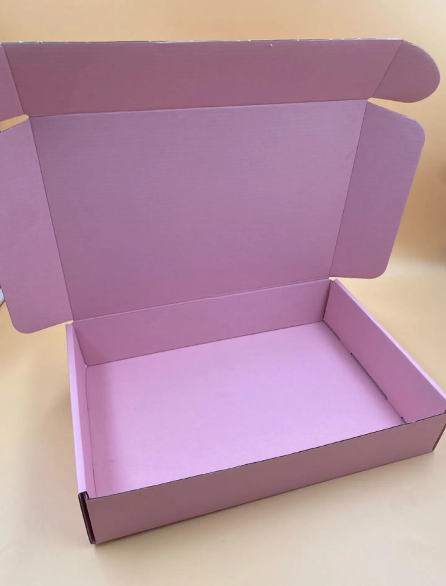 Caja Microcorrugado 30x20x6cm 2