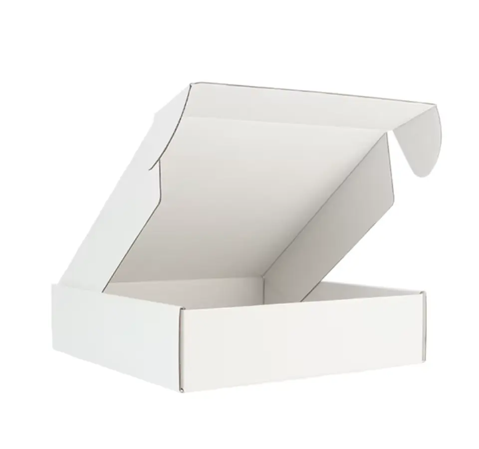 Caja Microcorrugado 30x20x6cm 3