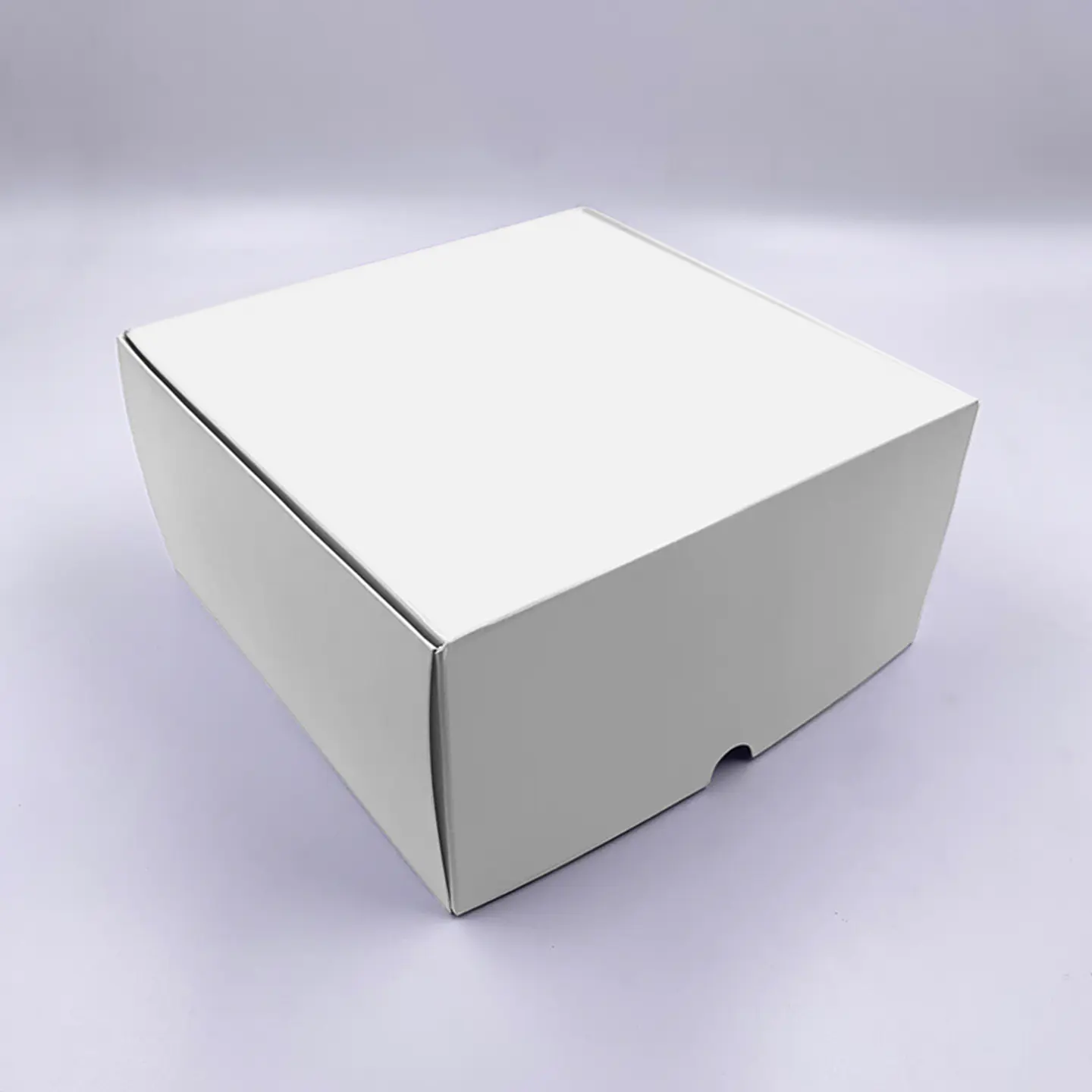 Caja Autoarmable 20x20x10cm 4