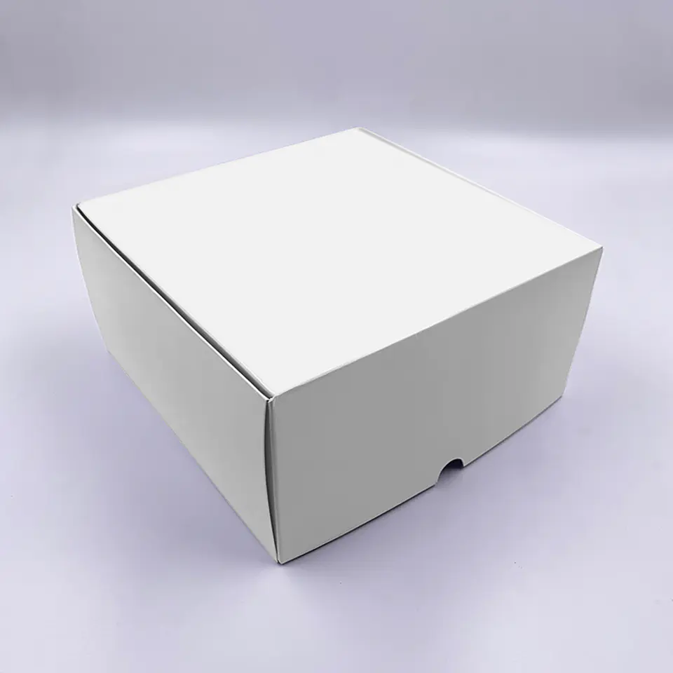 Caja Autoarmable 20x20x10cm 4