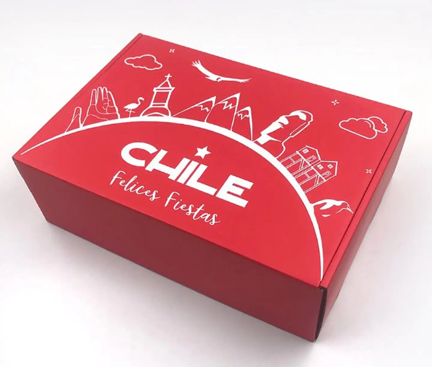Caja Microcorrugado Chile 30x20x10cm 1