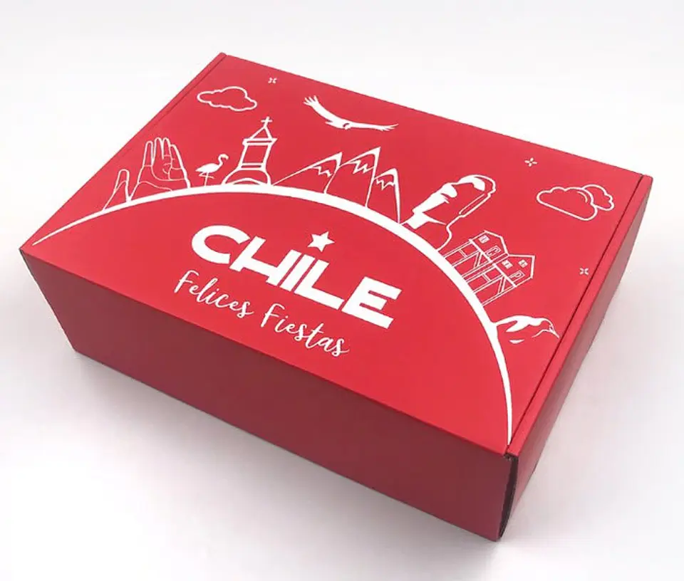 Caja Microcorrugado Chile 30x20x10cm 1