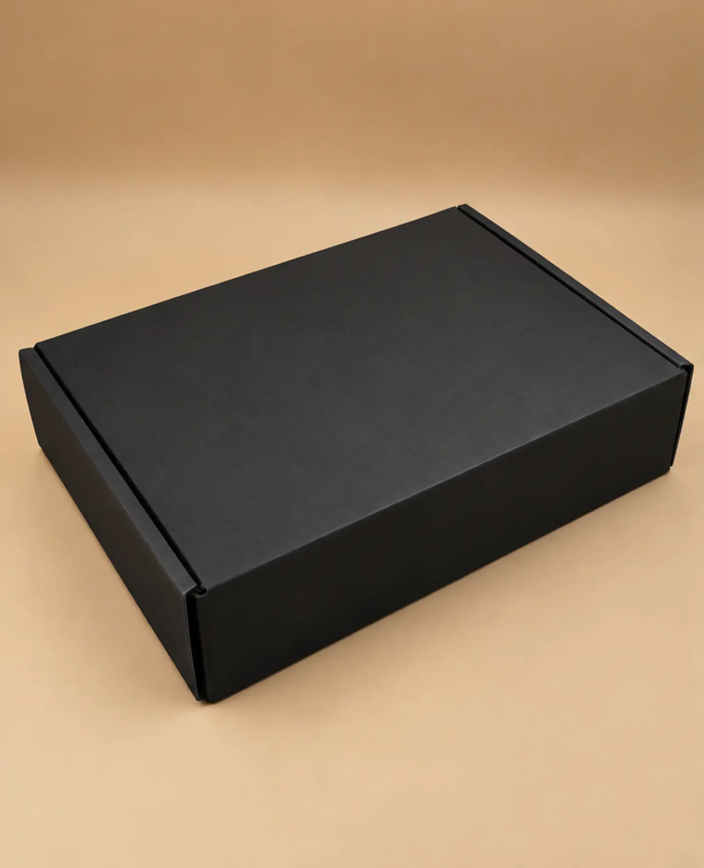 Caja Microcorrugado 30x20x6cm 4