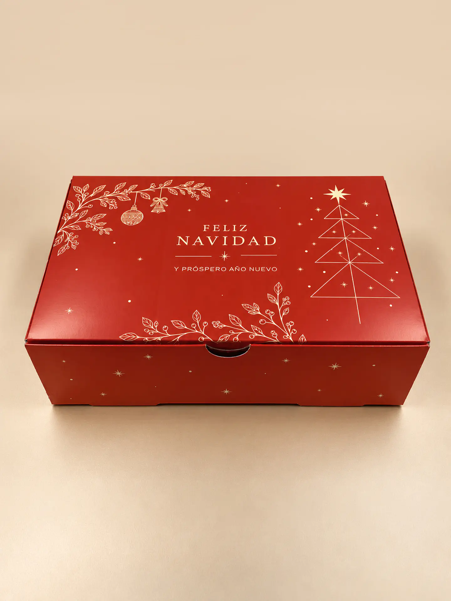 Navidad 2026, caja 27x17x9cm 1