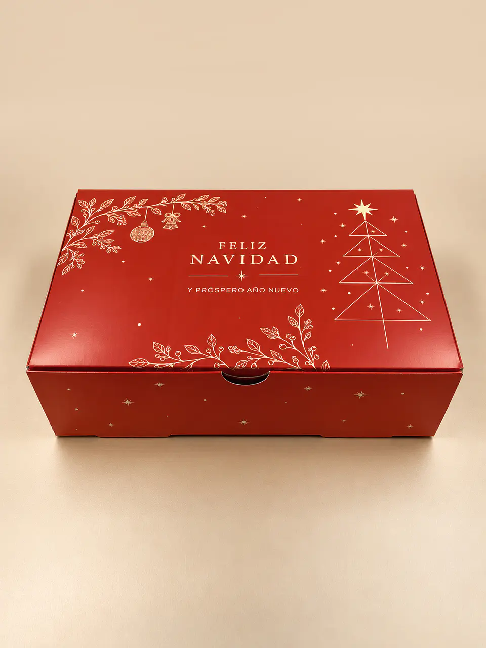 Navidad 2026, caja 27x17x9cm 1