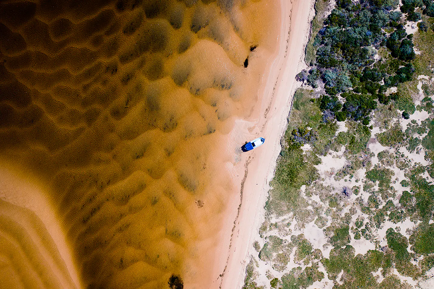 Entre agua y tierra 1