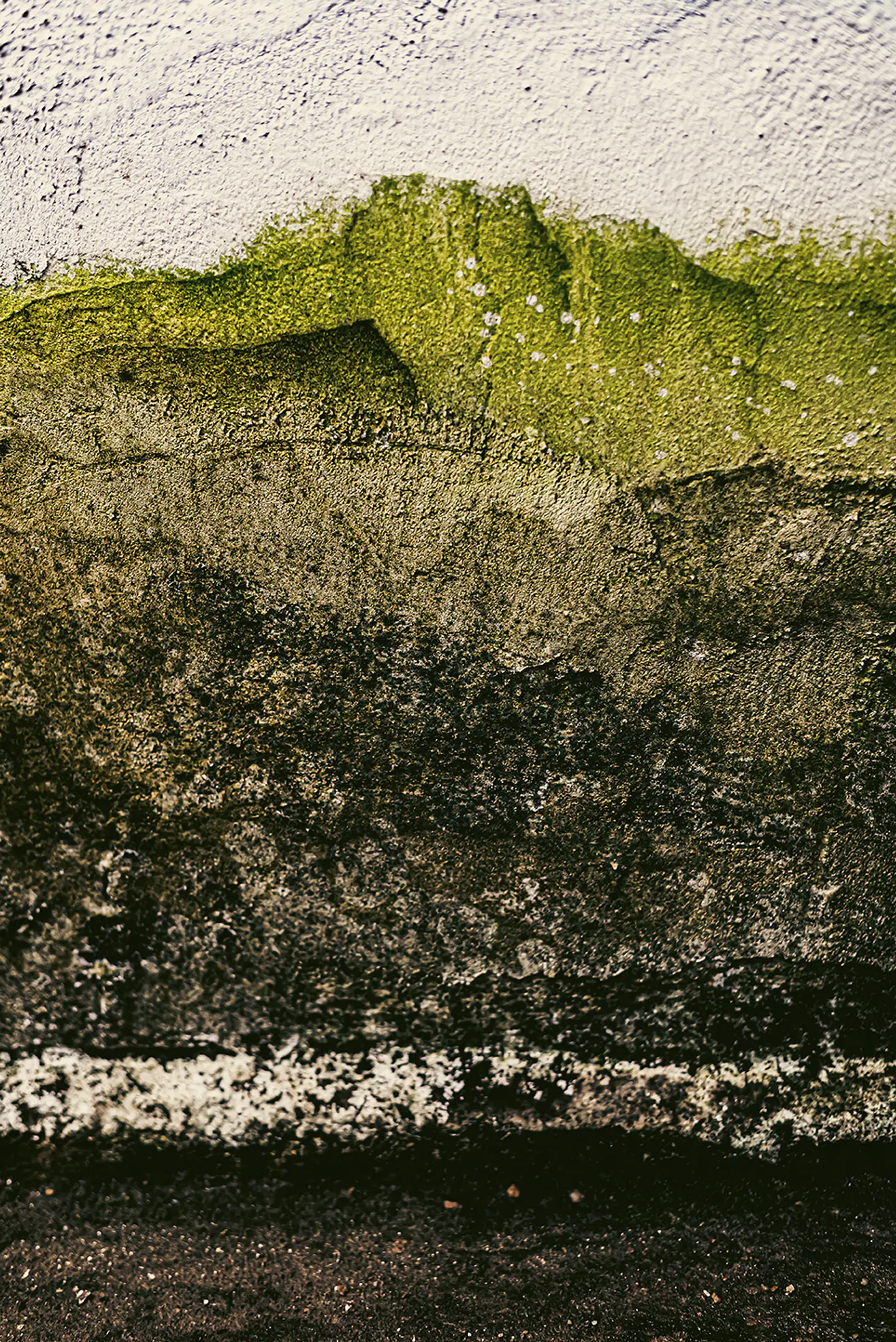 Materia Natural 1