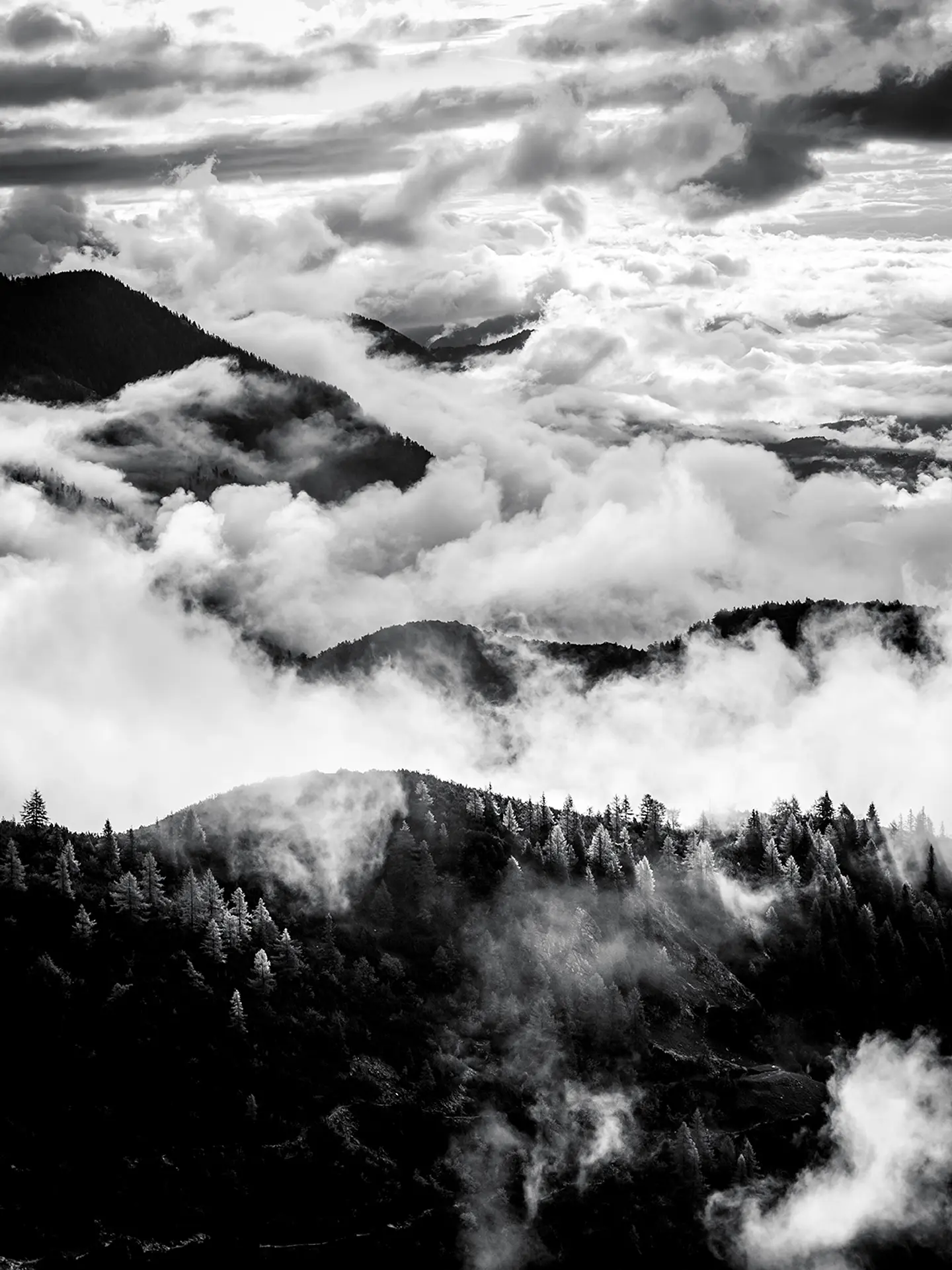 Entre Nubes 1