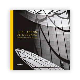 Luis Ladrón de Guevara
