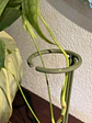 Soporte Varilla Circual Nº 1 - Miniatura 1