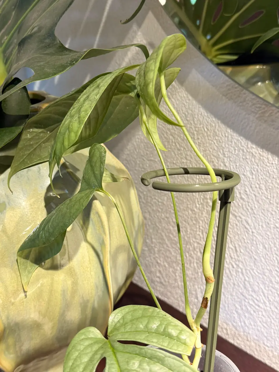 Soporte Varilla Circual Nº 1 4