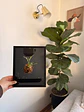 Soporte Pared para Plantas con deposito de riego - Miniatura 2